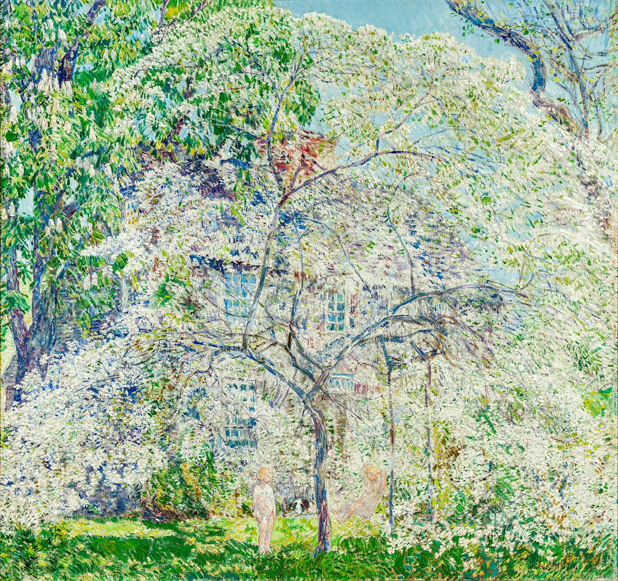 Spring—The Dogwood Tree