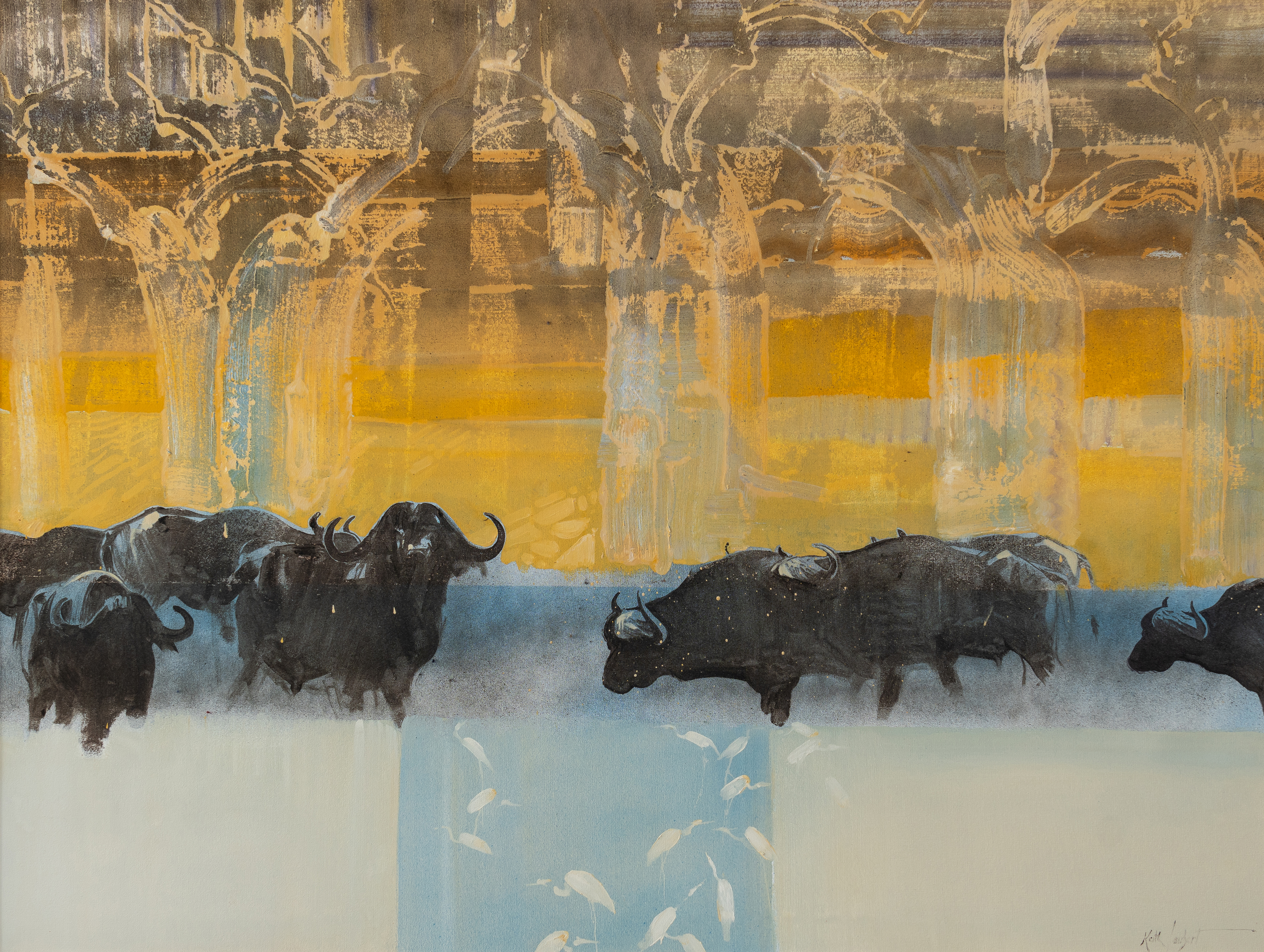 Buffalos, "Morning Light"
