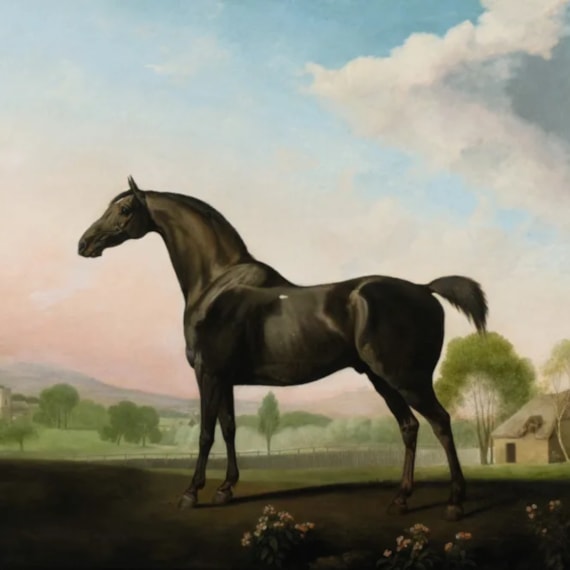 Rountree Tryon Galleries