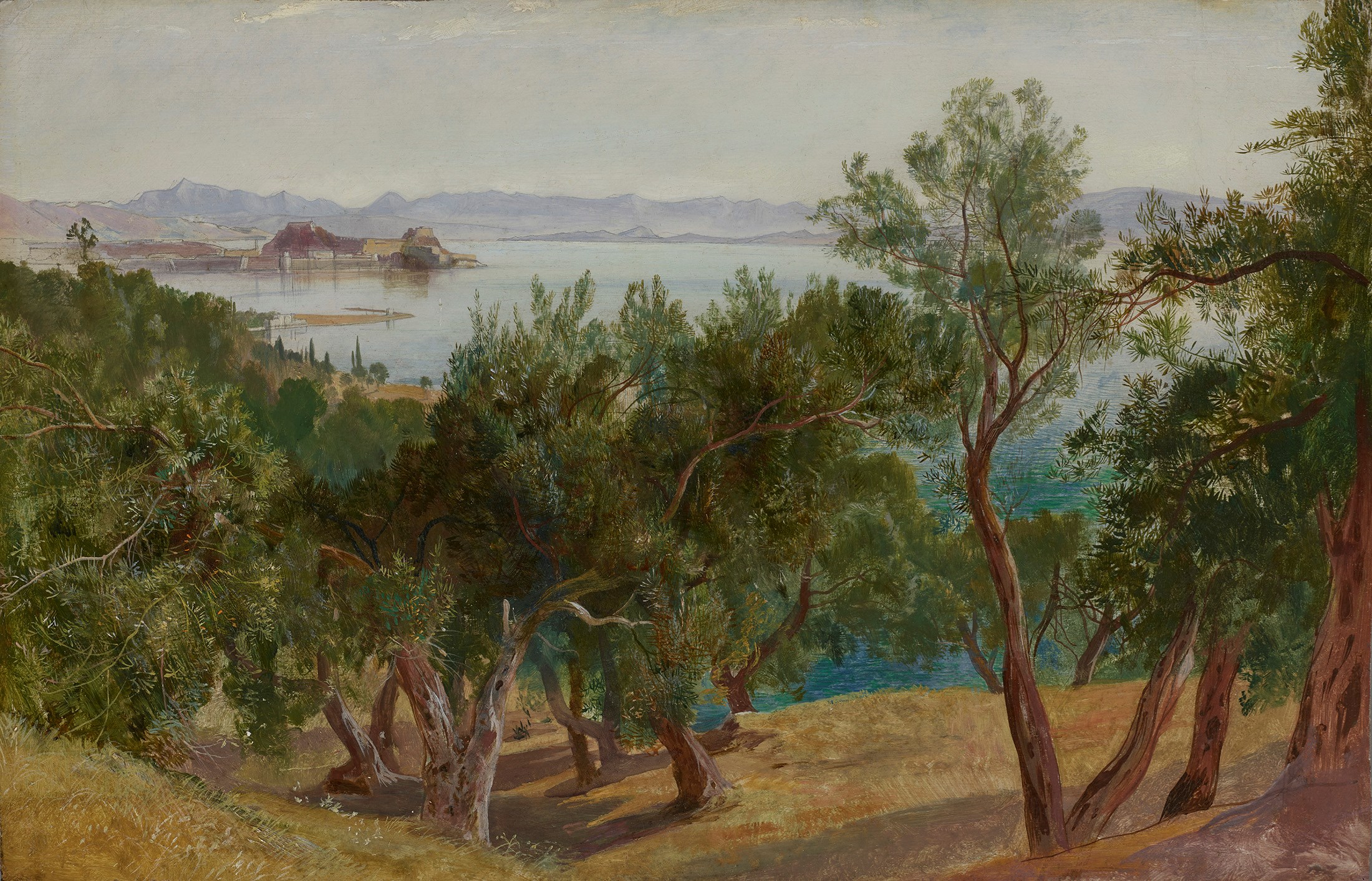 Corfu: A view from above the village of Ascension