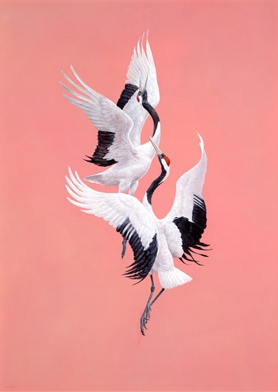 Jonathan Cooper