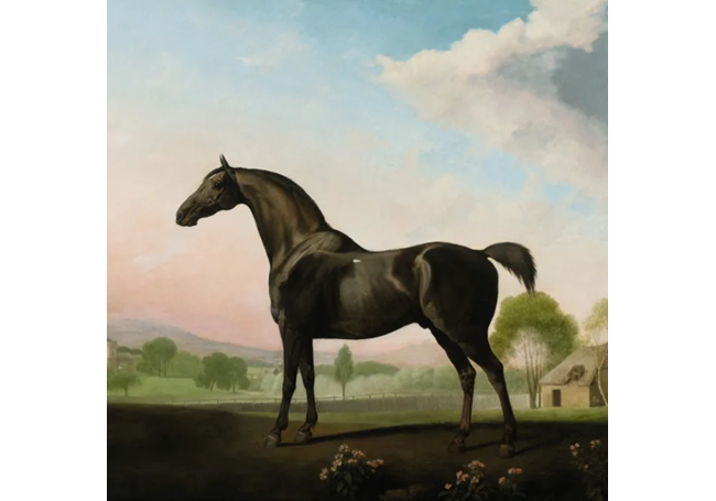 Rountree Tryon Galleries