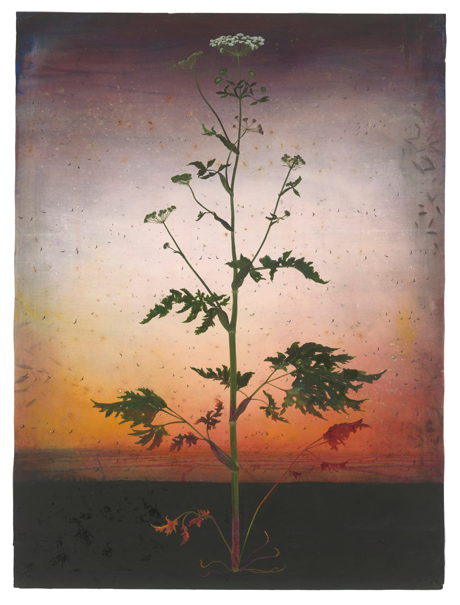 This Descant 2019-22