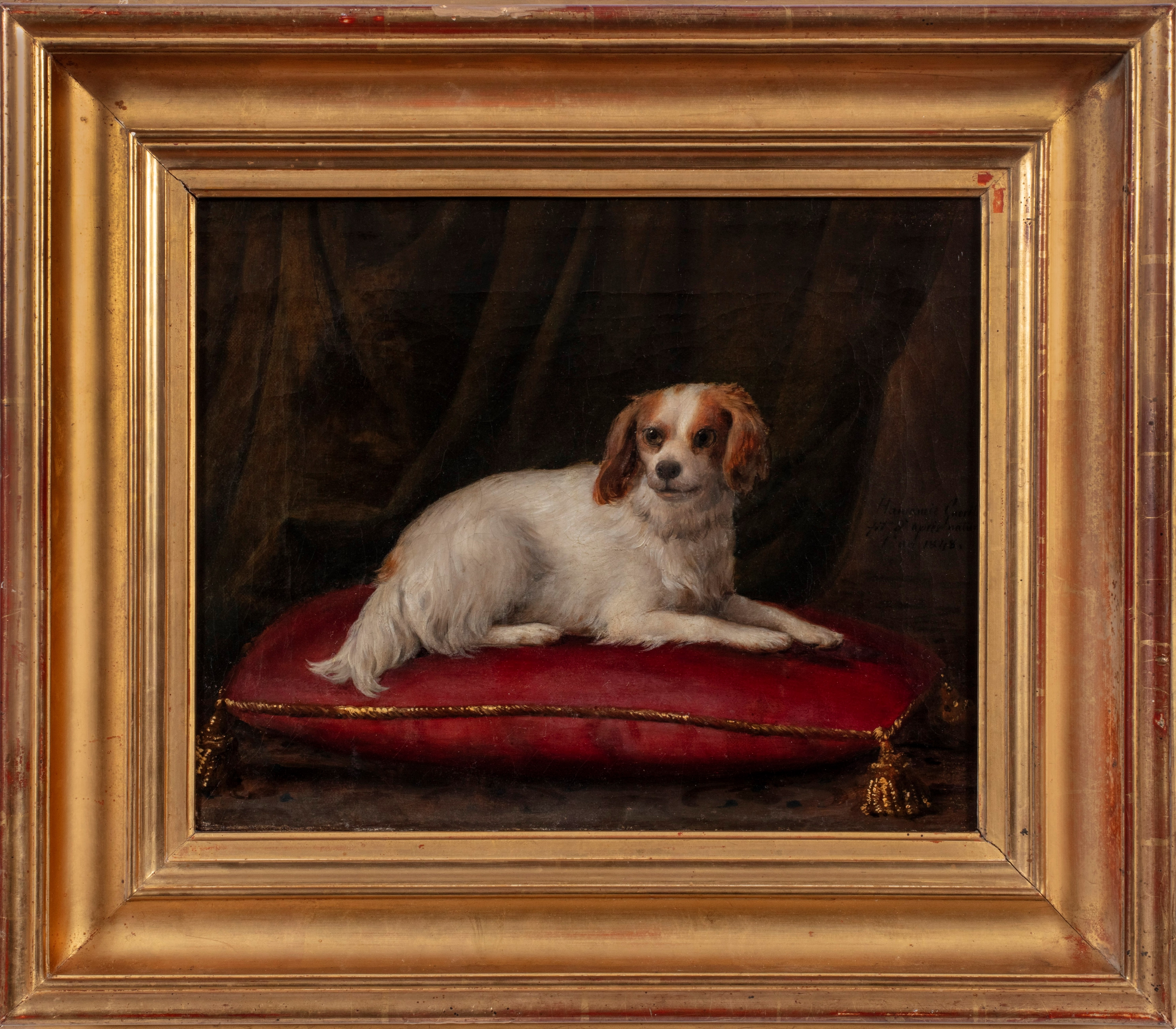 Portrait of a King Charles Spaniel