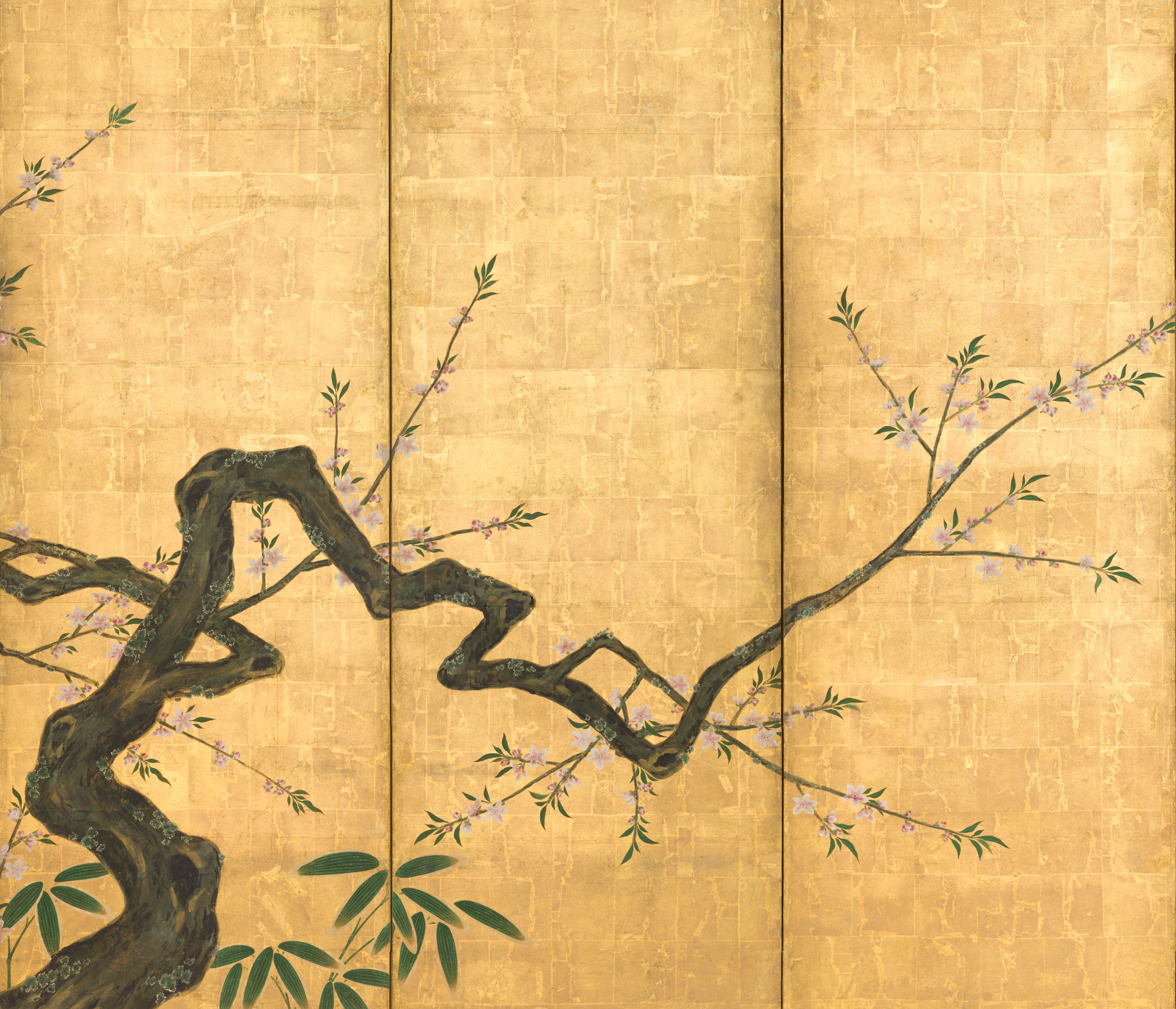 Flowering Plum Trees